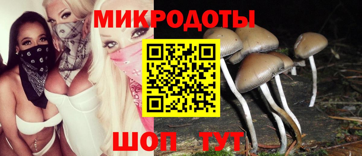 Галлюциногенные грибы Cubensis Новосибирск