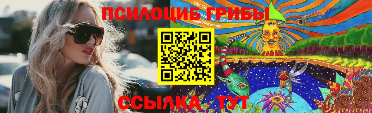Новосибирск  Галлюциногенные грибы Cubensis  Вход с VPN 